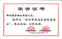 高成長(zhang)型民營(ying)企(qi)業(ye)
